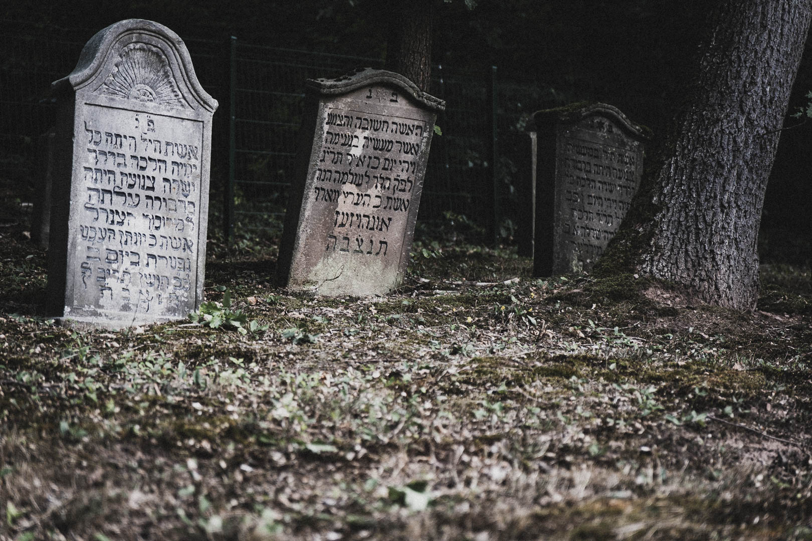 Nesselröden, Jüdischer Friedhof Nesselröden